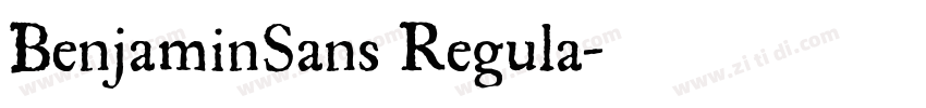 BenjaminSans Regula字体转换